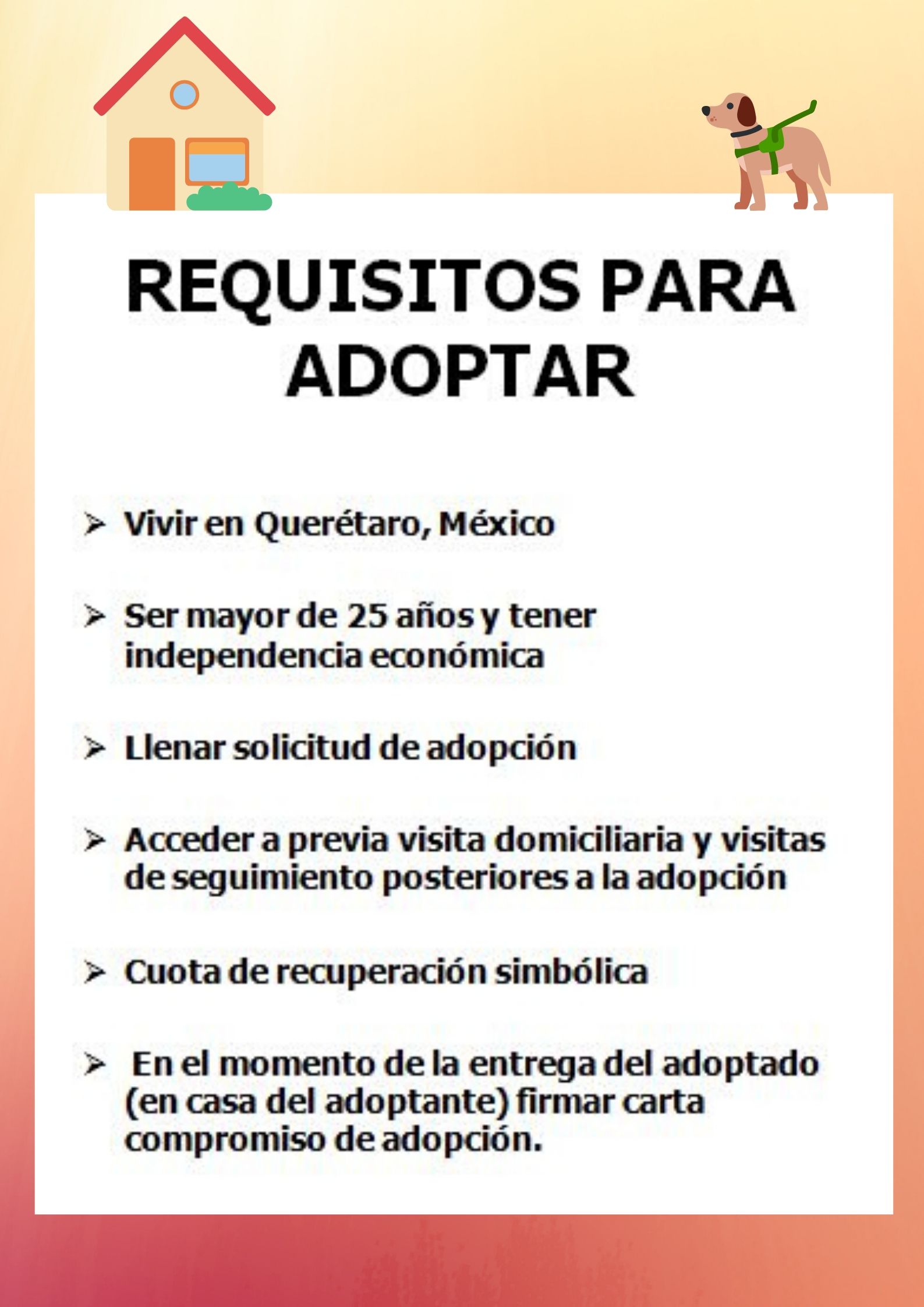 Adopta un perro NUEVE PERRITOS